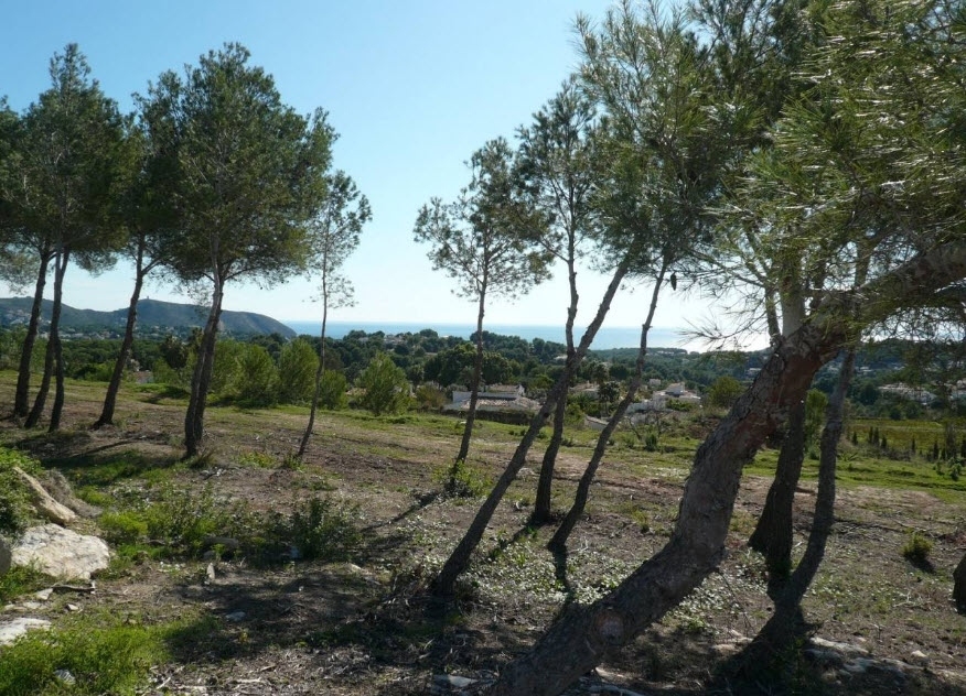plot in Moraira
