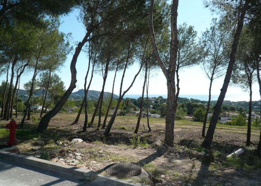 plot in Moraira