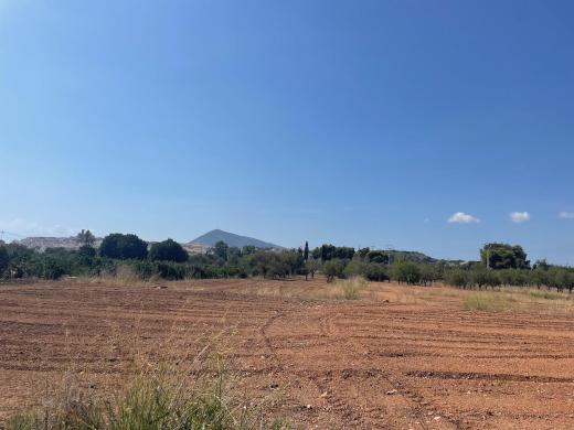 plots of land in Altea