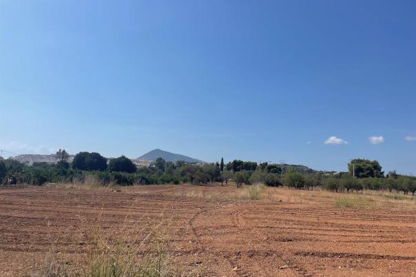 plots of land in Altea