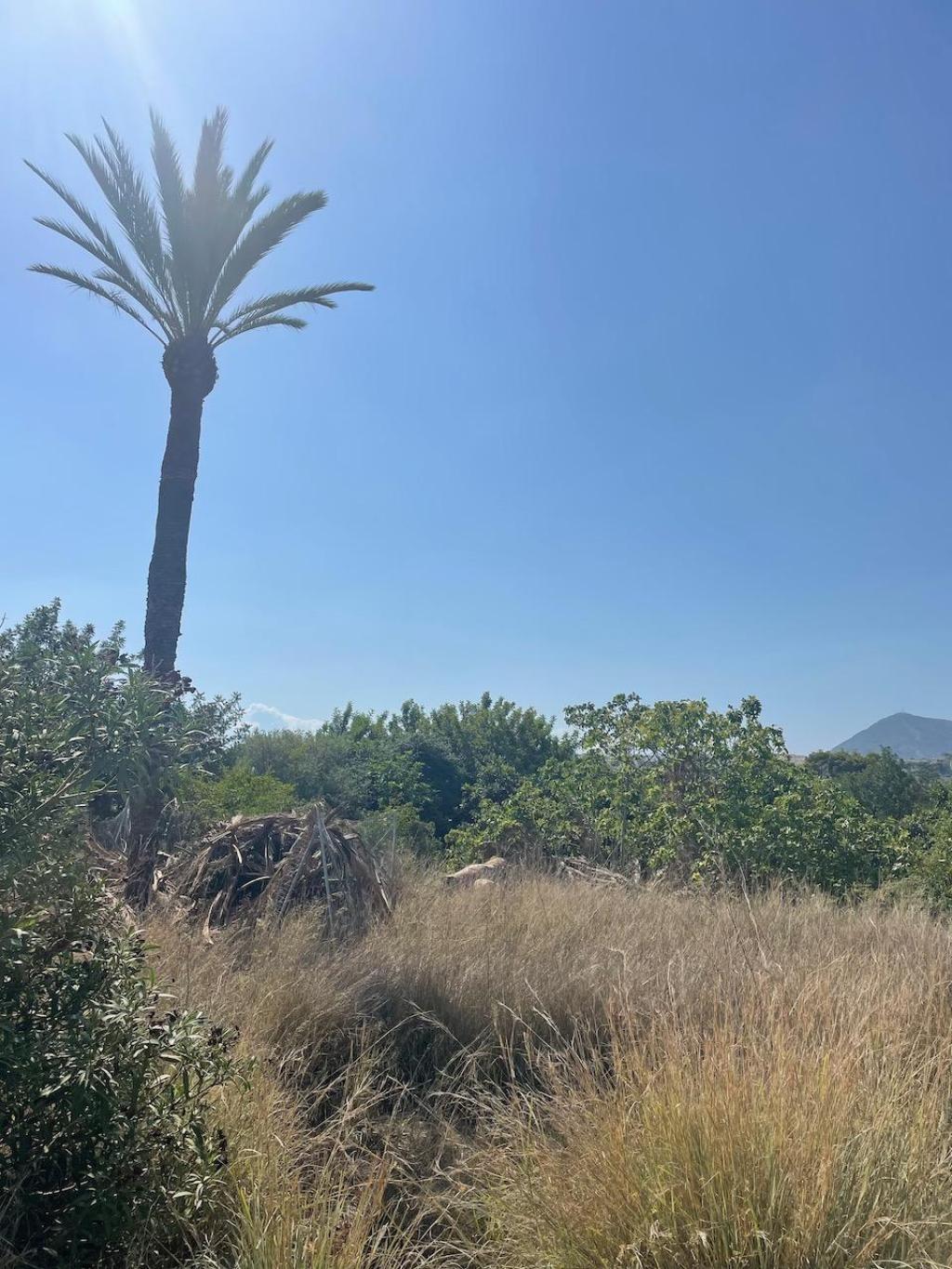 plots of land in Altea