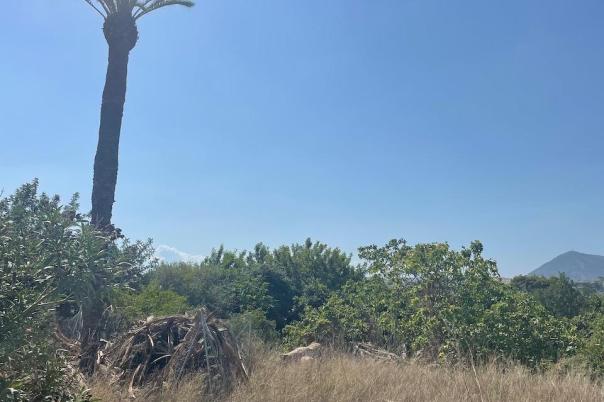 plots of land in Altea