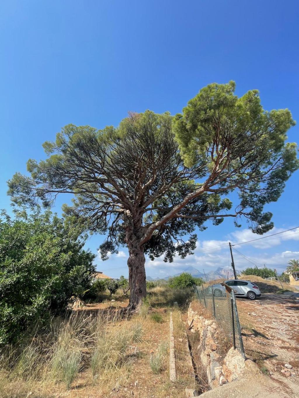 plots of land in Altea