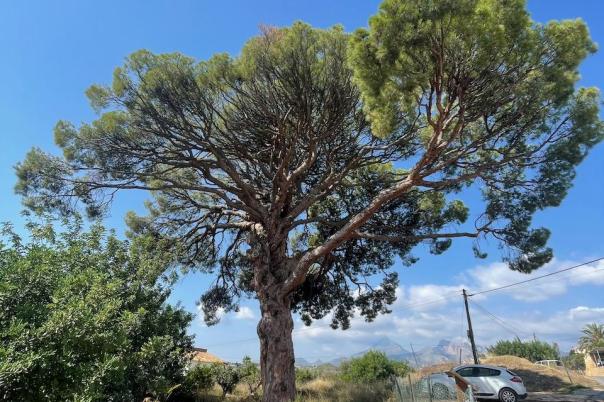 plots of land in Altea