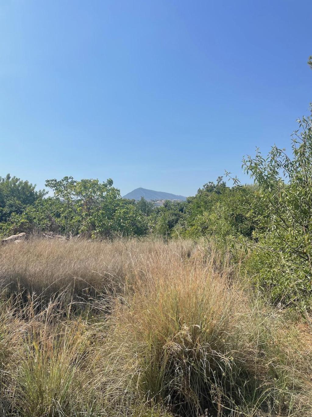 plots of land in Altea