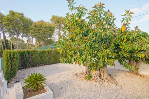 6 bed villa in Denia