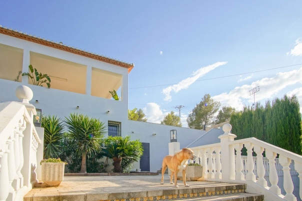 6 bed villa in Denia