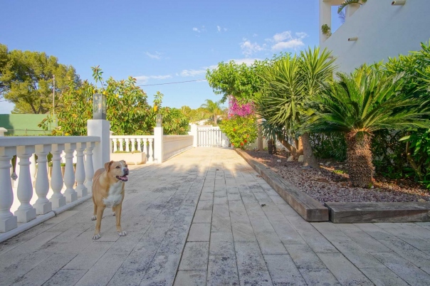6 bed villa in Denia