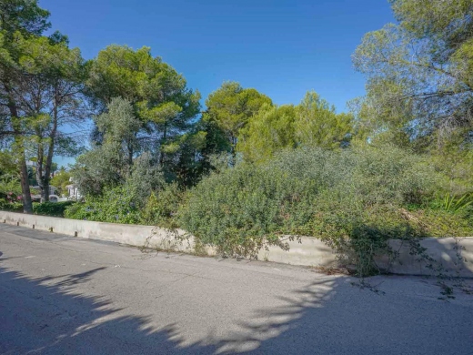 plot in Jávea