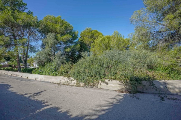 plot in Jávea