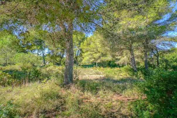 plot in Jávea