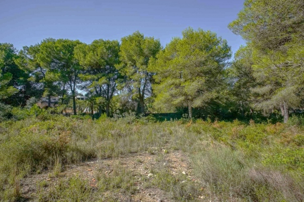 plot in Jávea