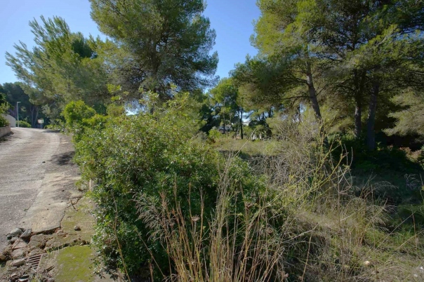 plot in Jávea