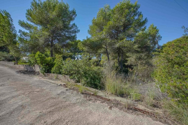 plot in Jávea