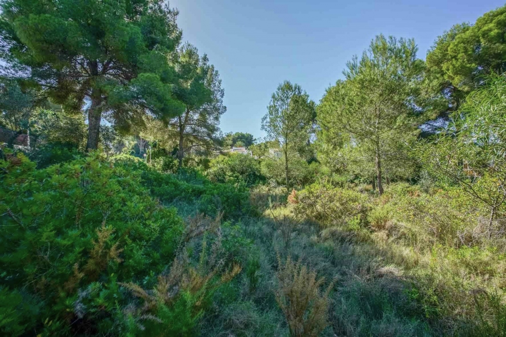 plot in Jávea
