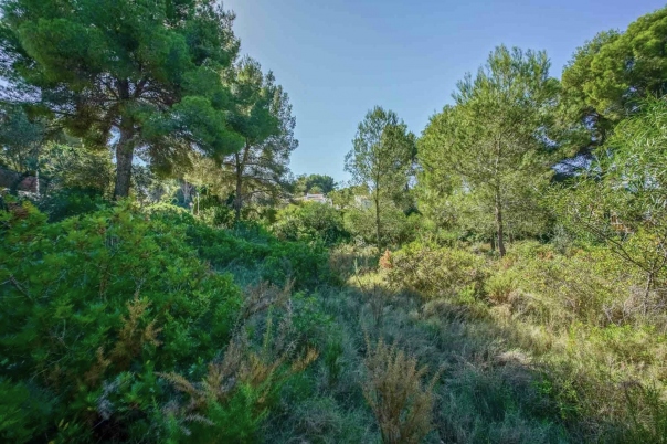 plot in Jávea