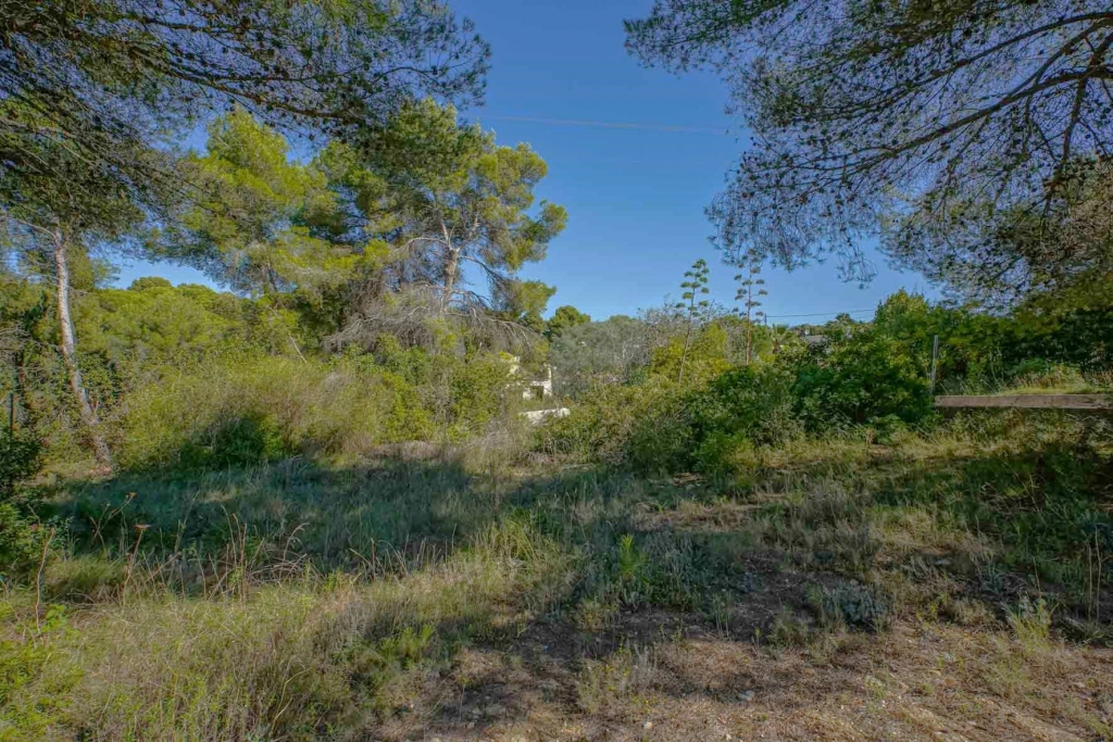 plot in Jávea