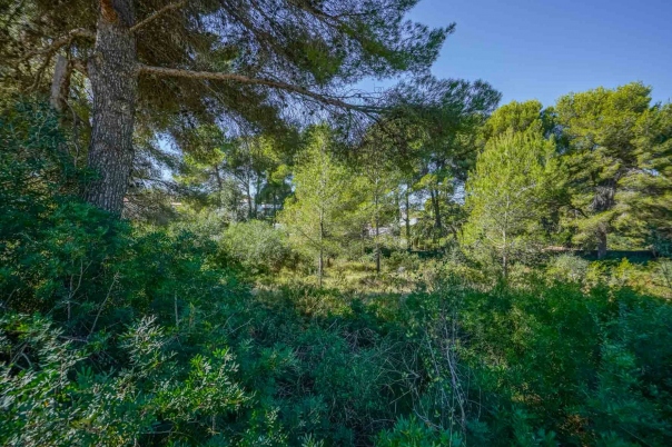 plot in Jávea