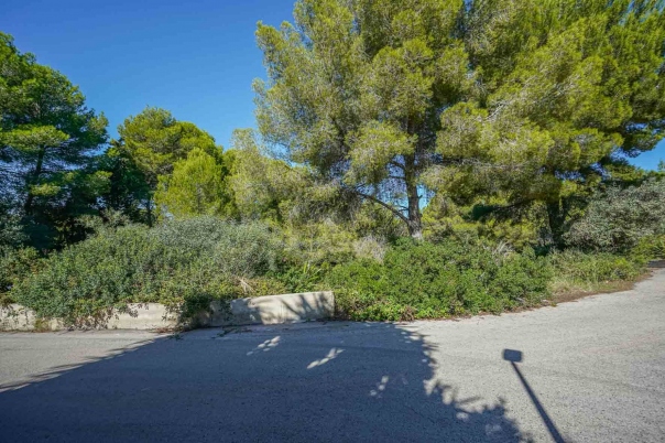 plot in Jávea