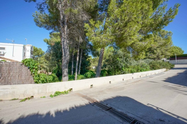 plot in Jávea