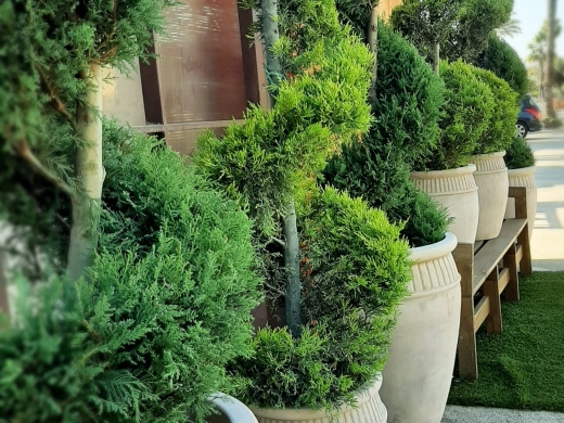 Paichi Garden - Floristeria Moraira
