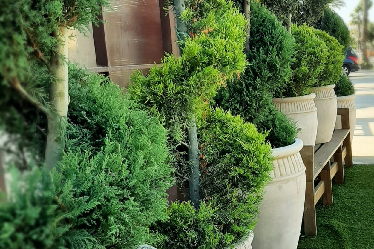 Paichi Garden - Floristeria Moraira