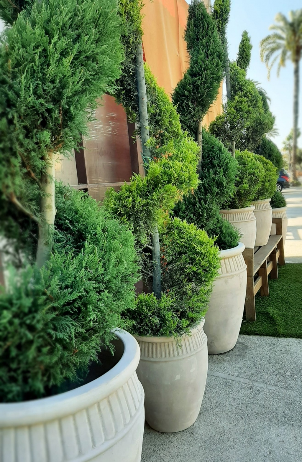 Paichi Garden - Floristeria Moraira