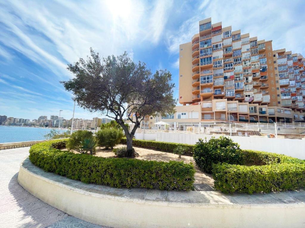 1 bed apartamento in Calpe / Calp