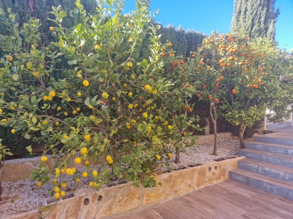 5 bed villas in Benitachell / El Poble Nou de Benitatxell