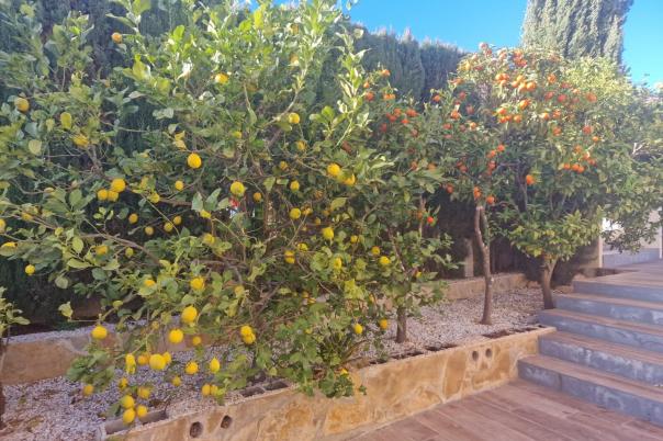 5 bed villas in Benitachell / El Poble Nou de Benitatxell