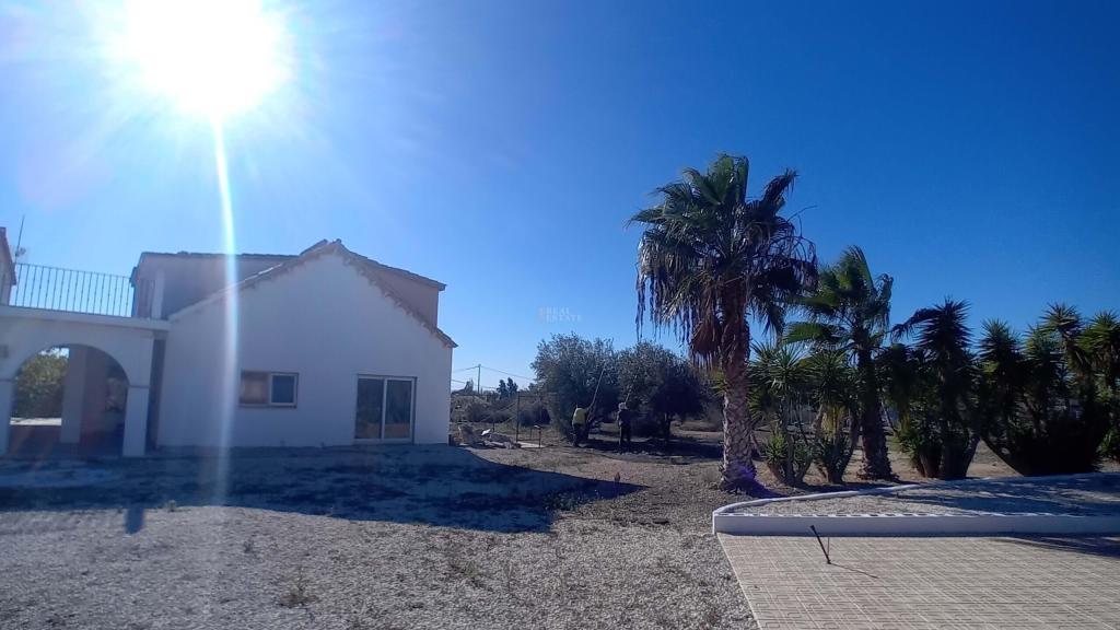 8 bed chalet in Crevillent