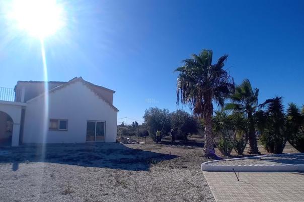 8 bed chalet in Crevillent