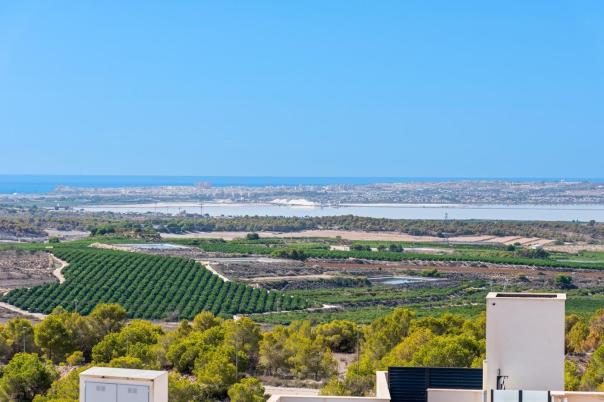 2 bed apartment in San Miguel de Salinas