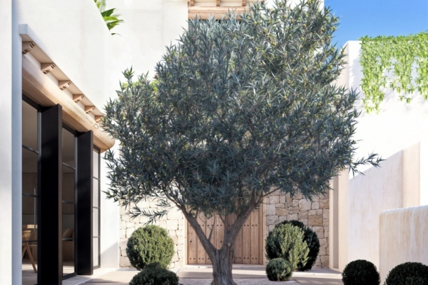 4 bed villa in Denia