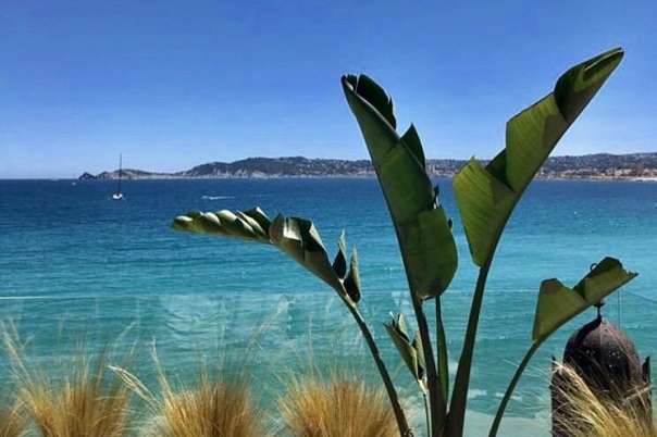 Soul & Sea Javea - Yoga with Kate Moss