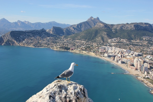 Book Your Visit to the Peñón de Ifach in Calpe