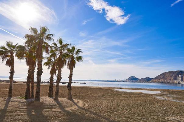 3 bed property in Els Poblets