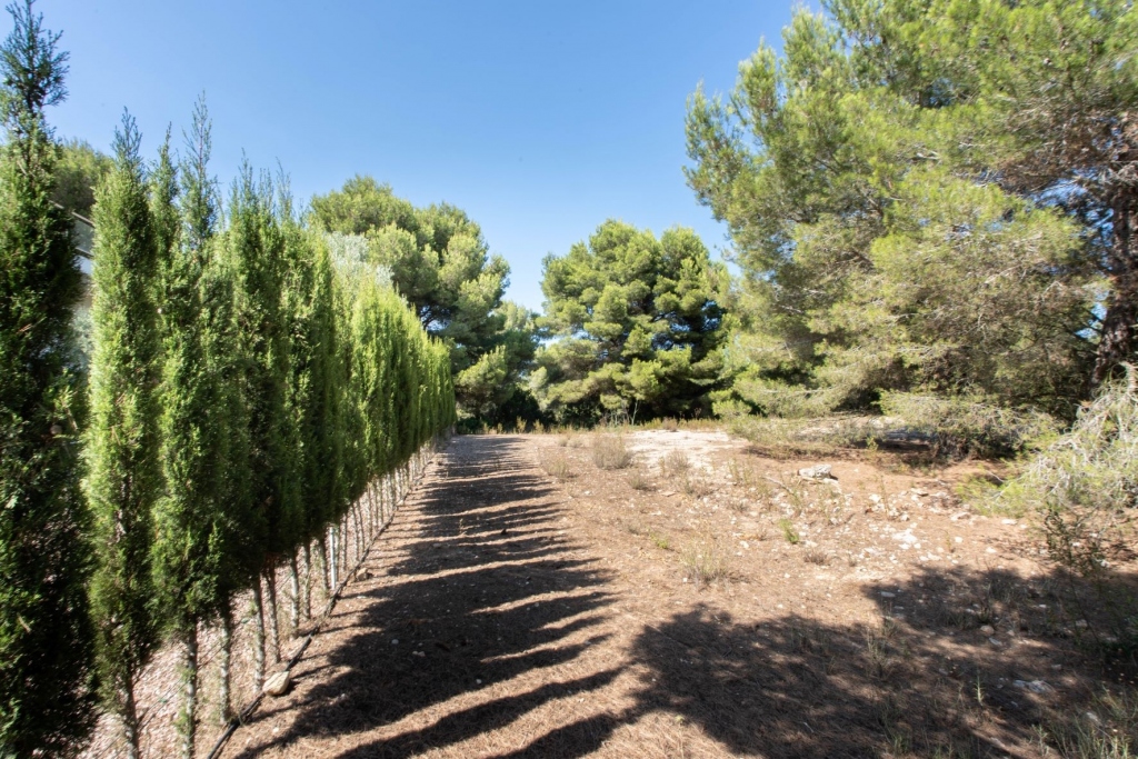 plot in Jávea