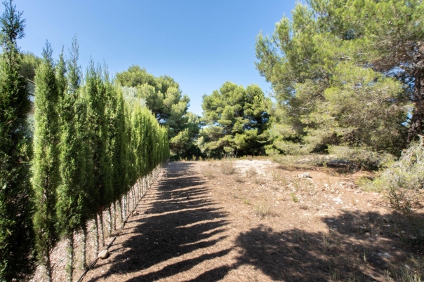 plot in Jávea