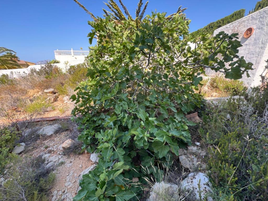 3 bed villa in Benitachell