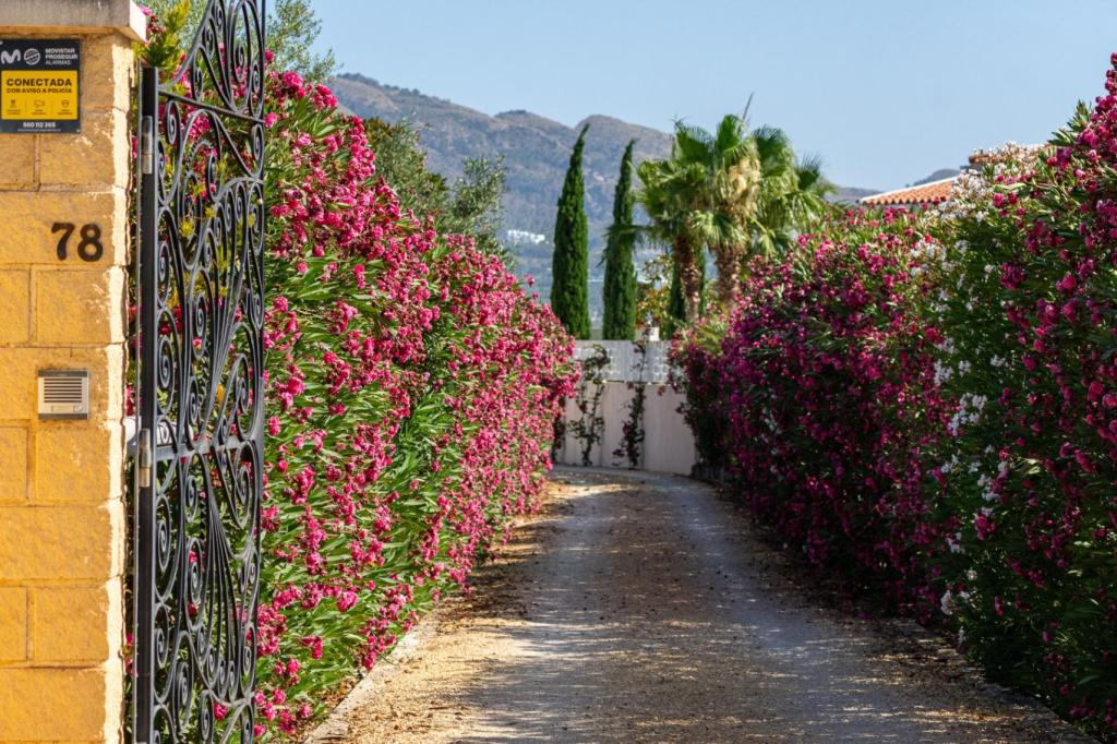 7 bed villa in Altea