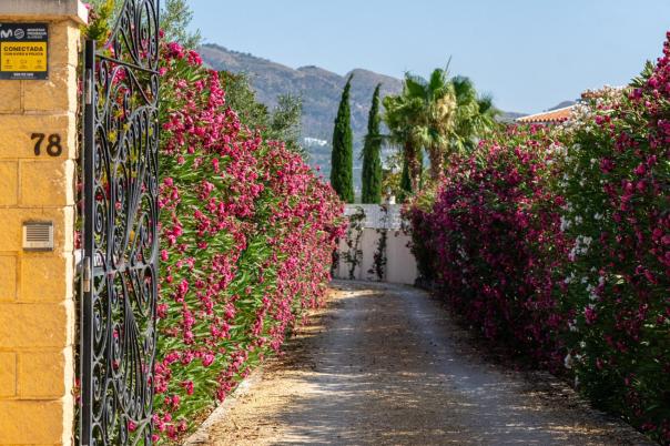 7 bed villa in Altea