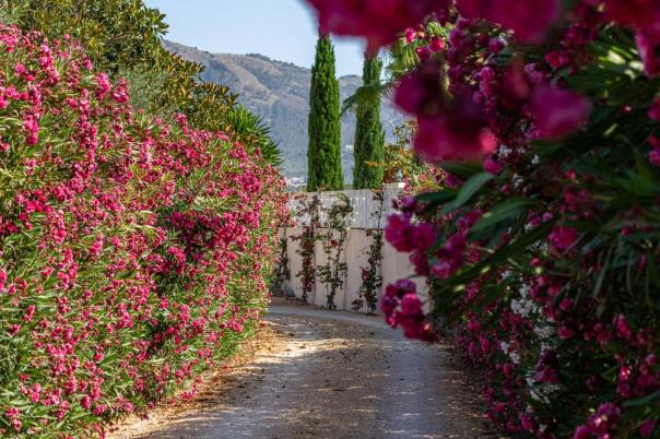 7 bed villa in Altea