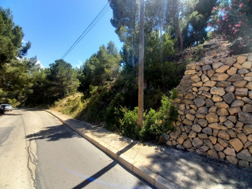 plot in Altea