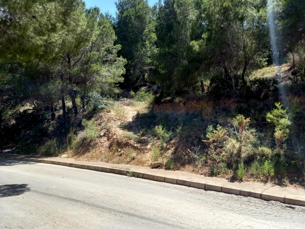 plot in Altea