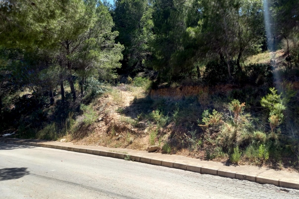plot in Altea