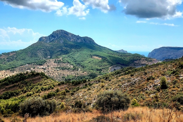 10 bed finca in Benissa