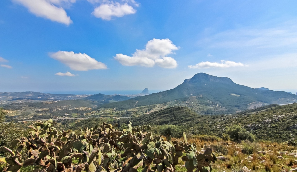10 bed finca in Benissa