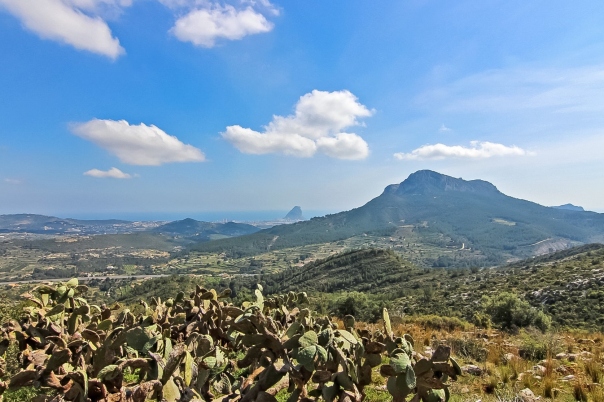 10 bed finca in Benissa
