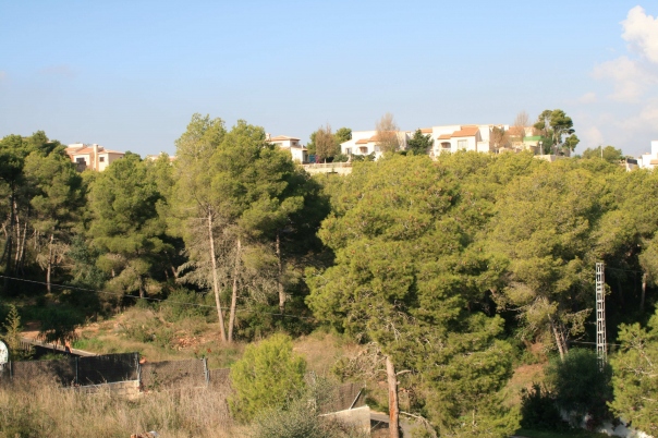 plot in Javea